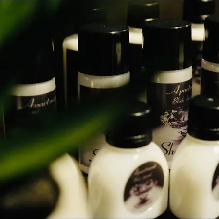 Apartment Black Diamond - Vracar, *